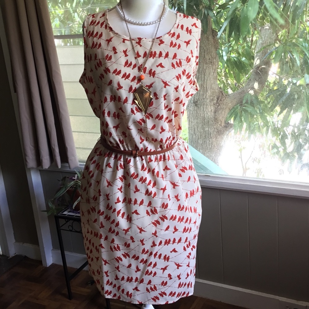 NWT large Peaches n Cream Bird Pattern dress